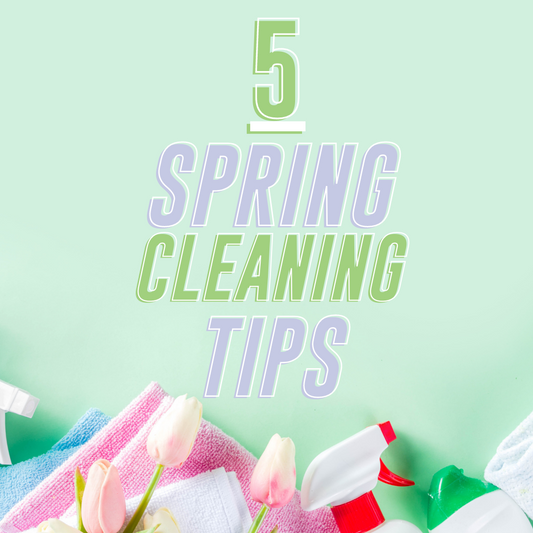 POTTYMINTS: 5 Spring Cleaning Tips!