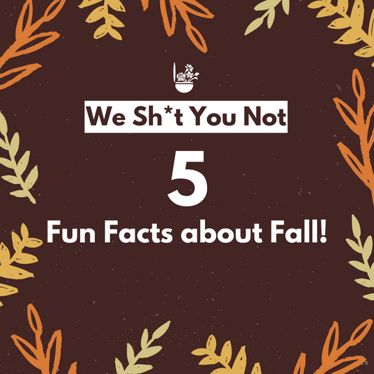 We Sh*t You Not: 5 Fun Facts about the Fall!
